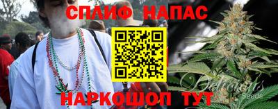 a pvp Гусев