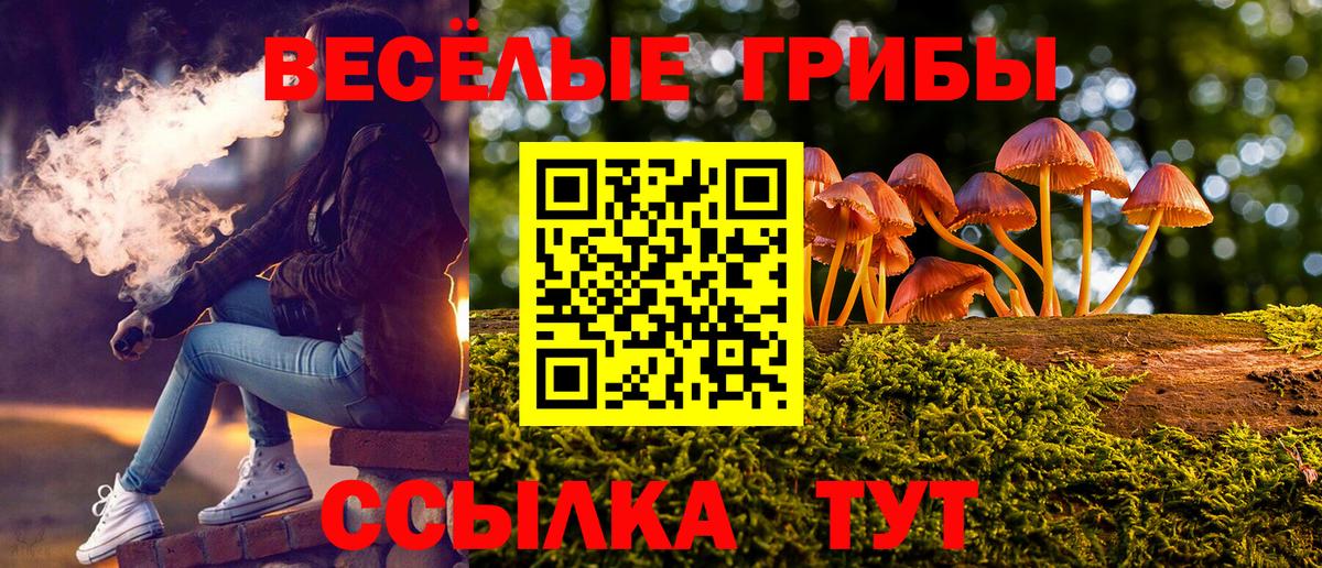 Минусинск  Псилоцибиновые грибы Cubensis  Псилоцибиновые грибы Magic Shrooms  Вход с VPN 