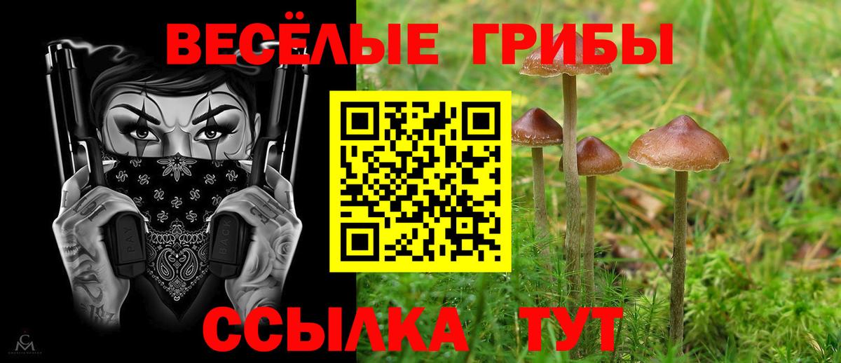 Псилоцибиновые грибы мицелий Минусинск